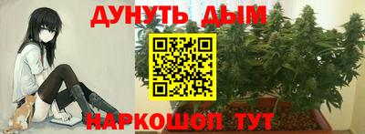 молекула духа Заволжье