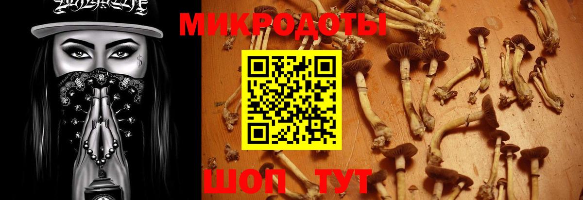 Галлюциногенные грибы мицелий  как найти закладки  Малгобек  Вход с VPN 